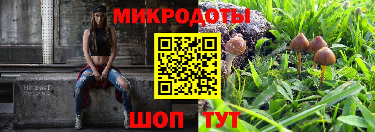 Йошкар-Ола  Псилоцибиновые грибы GOLDEN TEACHER  Псилоцибиновые грибы мицелий  Вход с VPN 